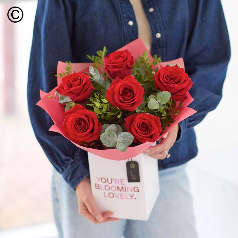 Valentines Six Red Roses Bouquet Aqua