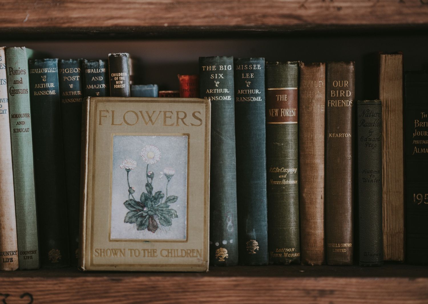 Flowers, Bottle Vase, Book &amp; Seed Gift Bundle!