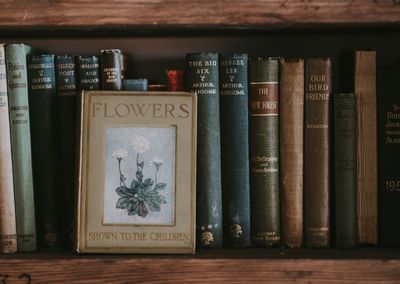 Flowers, Bottle Vase, Book &amp; Seed Gift Bundle!