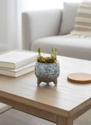 Narcissi in a Decorative Ceramic Pot