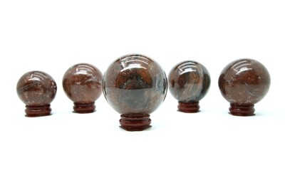 Petrified Wood