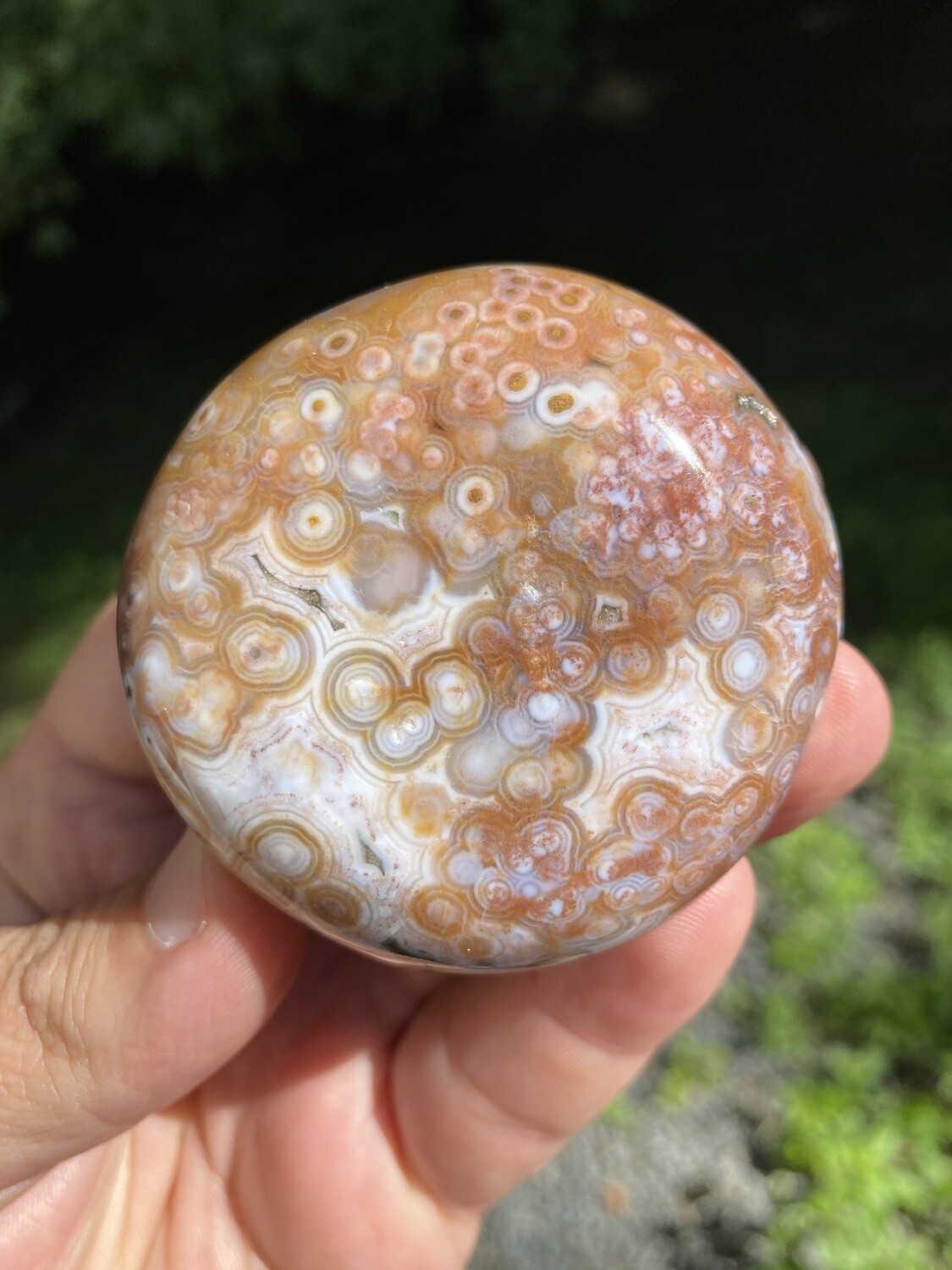 Ocean Jasper Pebble 8th Vein