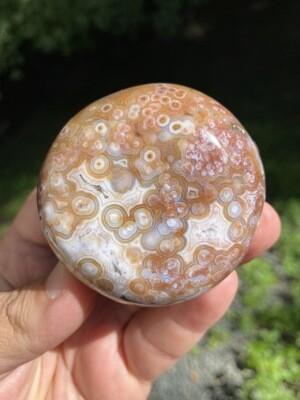 Ocean Jasper Pebble 8th Vein