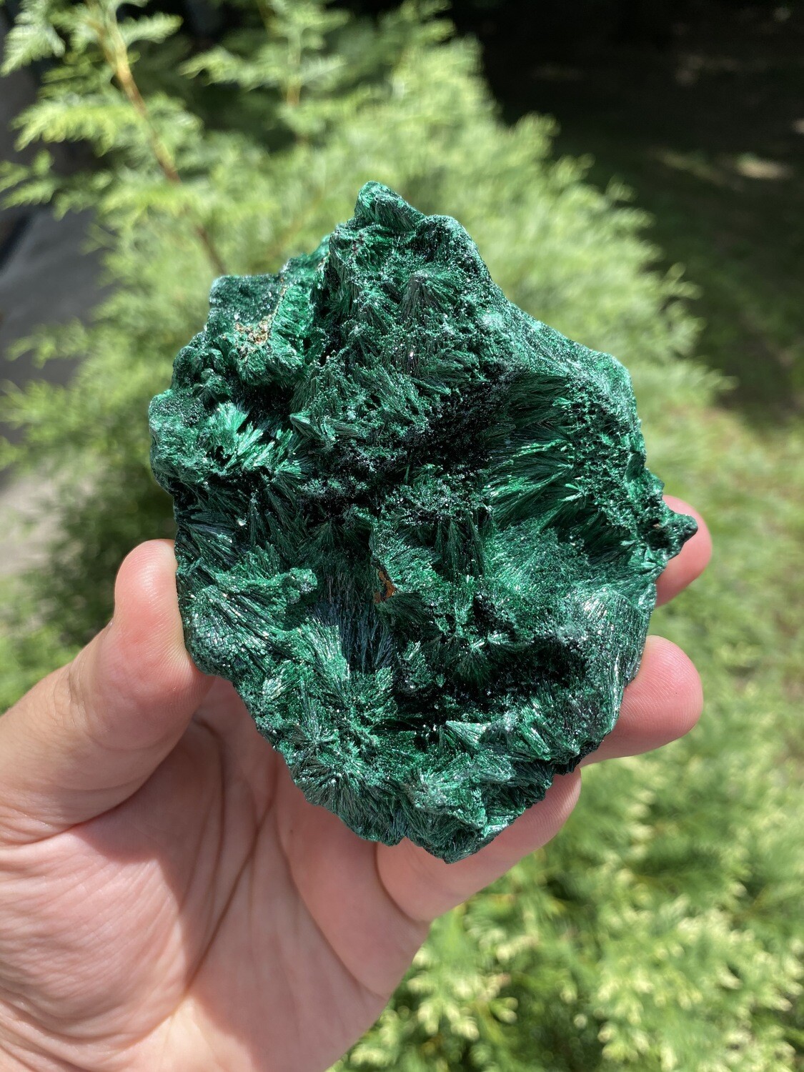 Natural Silky Malachite