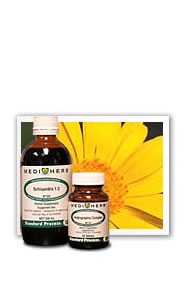 Echinacea Premium