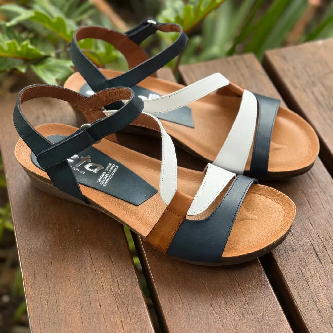 Zeta Onyx - Navy Multi