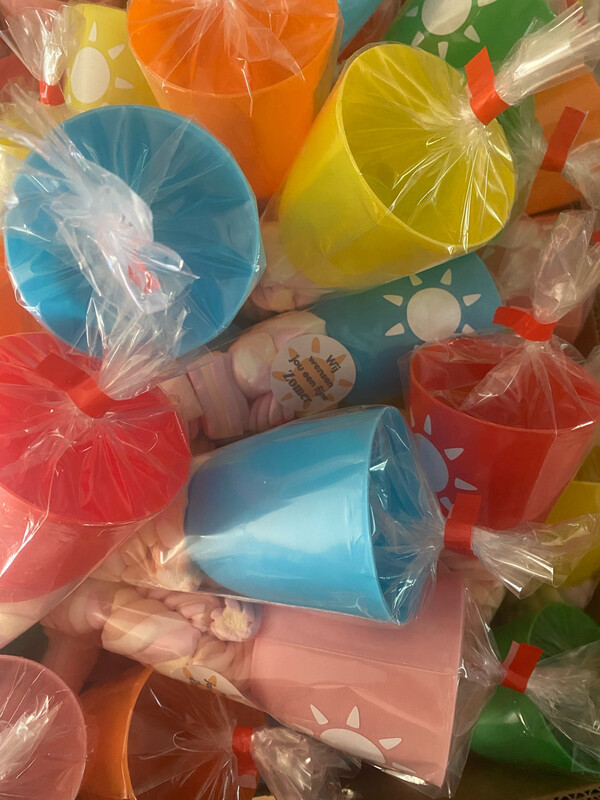 Voorbeeld Traktatie - Zomerfeest