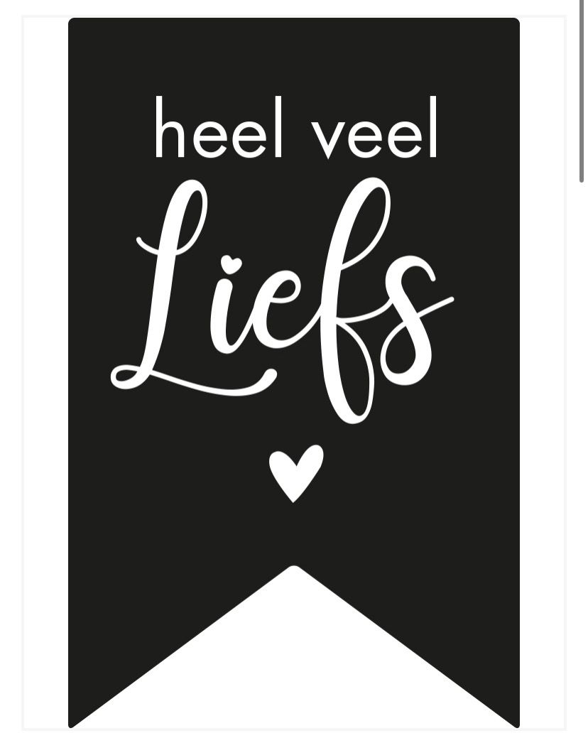 Sticker Mini Vaantje Heel veel Liefs 10 Stks