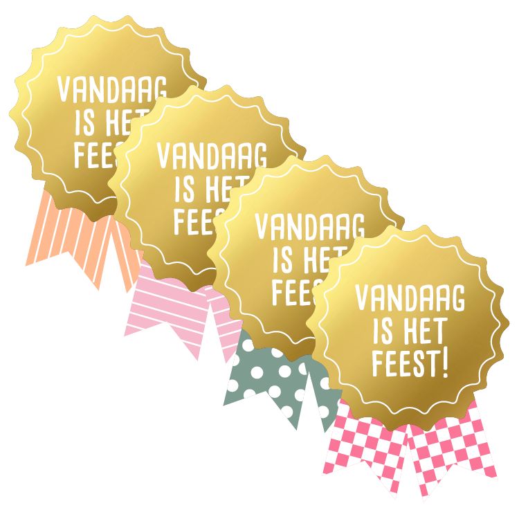 KP® Stickers Medaille - Vandaag is het feest 10 Stks