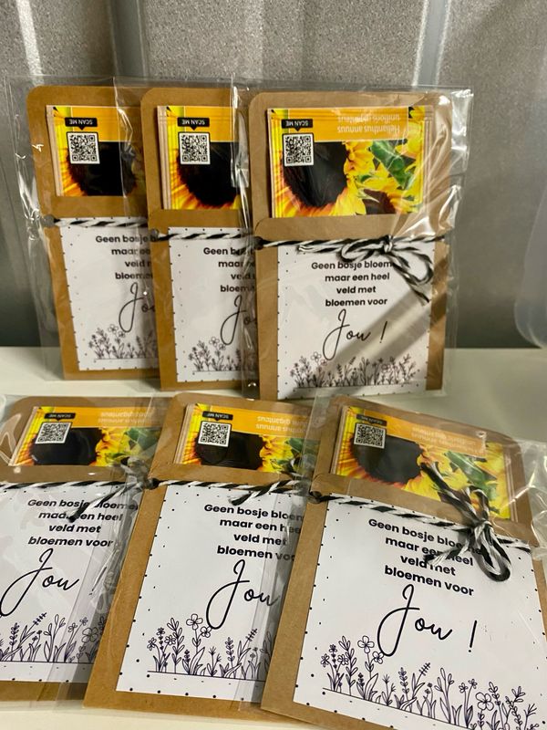 Bloemenzaadjes Geschenk Veld Met Bloemen Voor Jou!