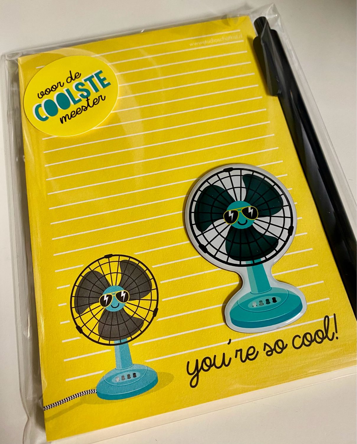 Cadeausetje You’re So Cool Notitieblok Magneet Pen Meester