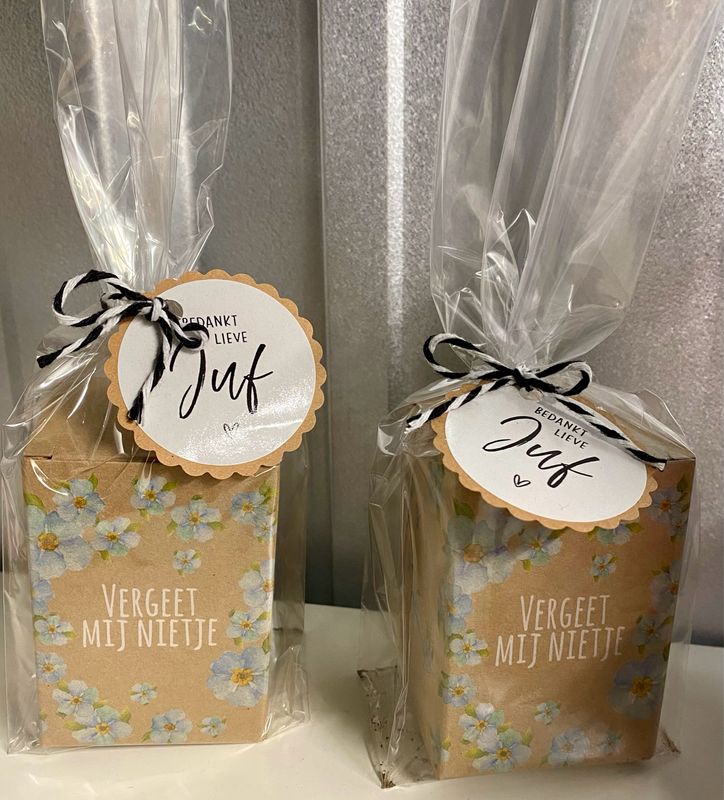 Cadeau Kweeksetje Vergeet Mij Nietje Juf Collega Merci With Love