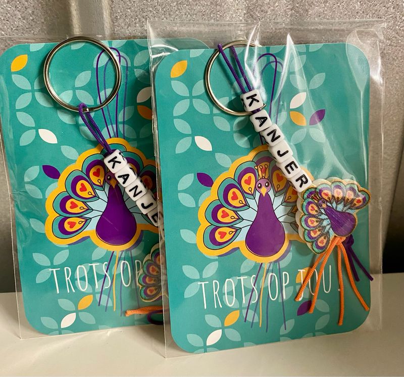 Gelukspresentje "Trots op jou!"MINI Kaartje Sleutelhanger