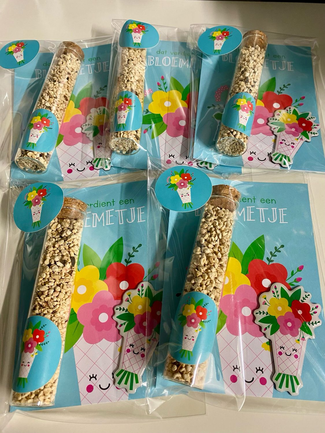 Studio Schatkist - Cadeauset Dat Verdient Een Bloemetje Buisje Bloemenzaadjes Magneet