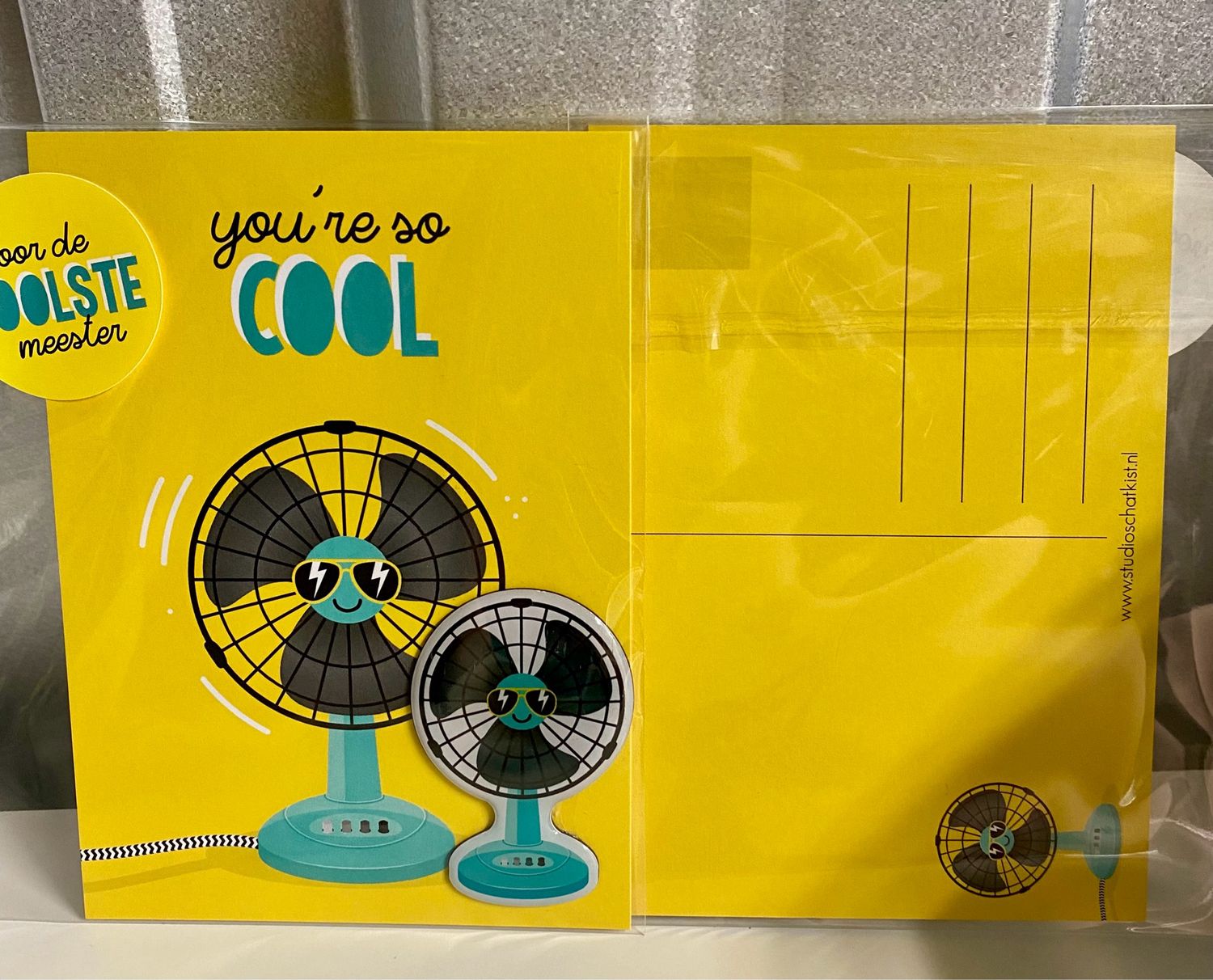 Studio Schatkist - Kaart A6 & Magneet | Youre so Cool ( Coolste Meester ) Studio Schatkist - Kaart A6 & Magneet | Youre so Cool ( Coolste Meester )