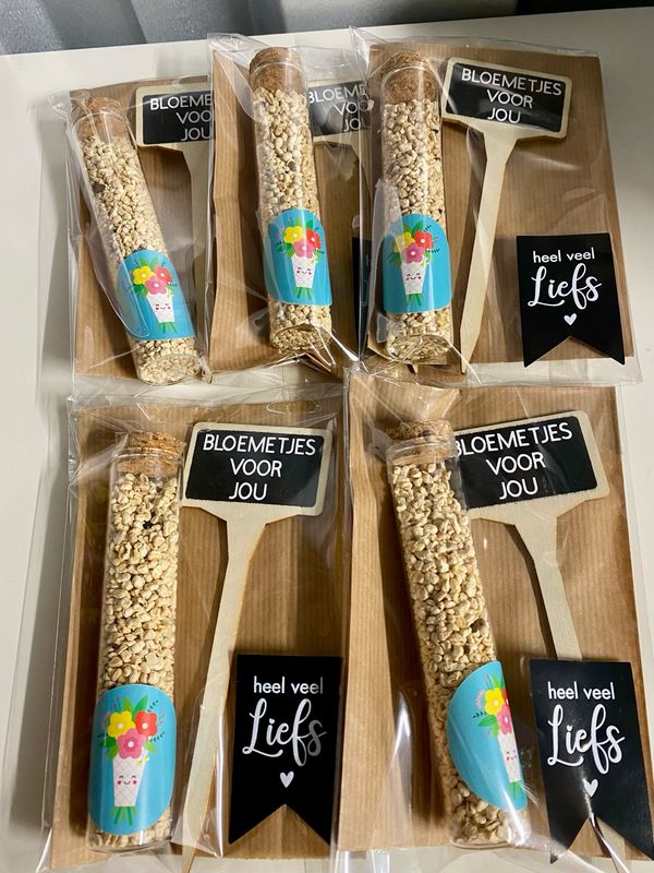 Studio Schatkist Cadeausetje | Bloemetjes voor jou buisje zaadjes en plantensteker Studio Schatkist Cadeausetje | Bloemetjes voor jou buisje zaadjes en plantensteker