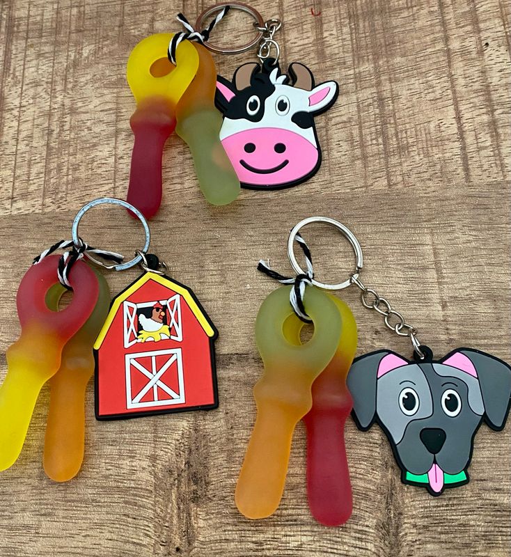 Boerderij Sleutelhanger Traktatie Met Fruit Sleutels Vegan Glutenvrij