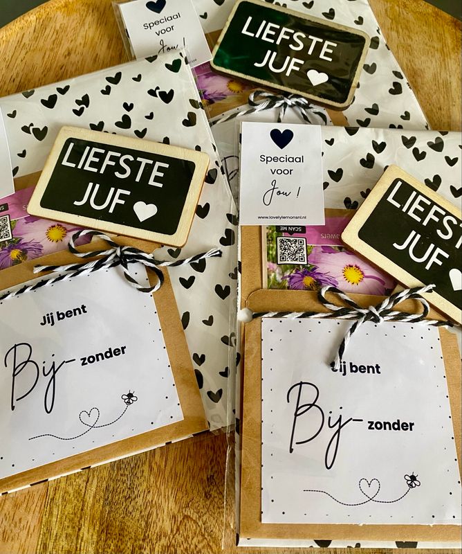 Bloemenzaadjes Geschenk Jij Bent Bijzonder! Plantenlabel Liefste Juf