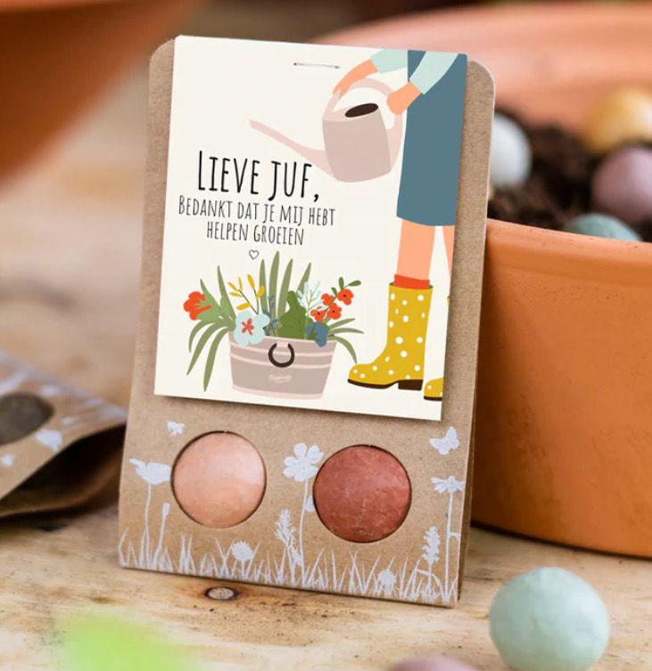 Blossombs WEGGEEFCADEAUTJE Blossombs WEGGEEFCADEAUTJE "LIEVE JUF" MET 2 BLOEMBOMMETJES