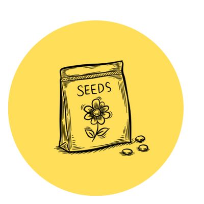 SEQ Lifestyle Gifts