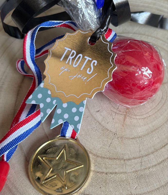 05. Avondvierdaagse Likbal/Snoepbal Met Medaille
