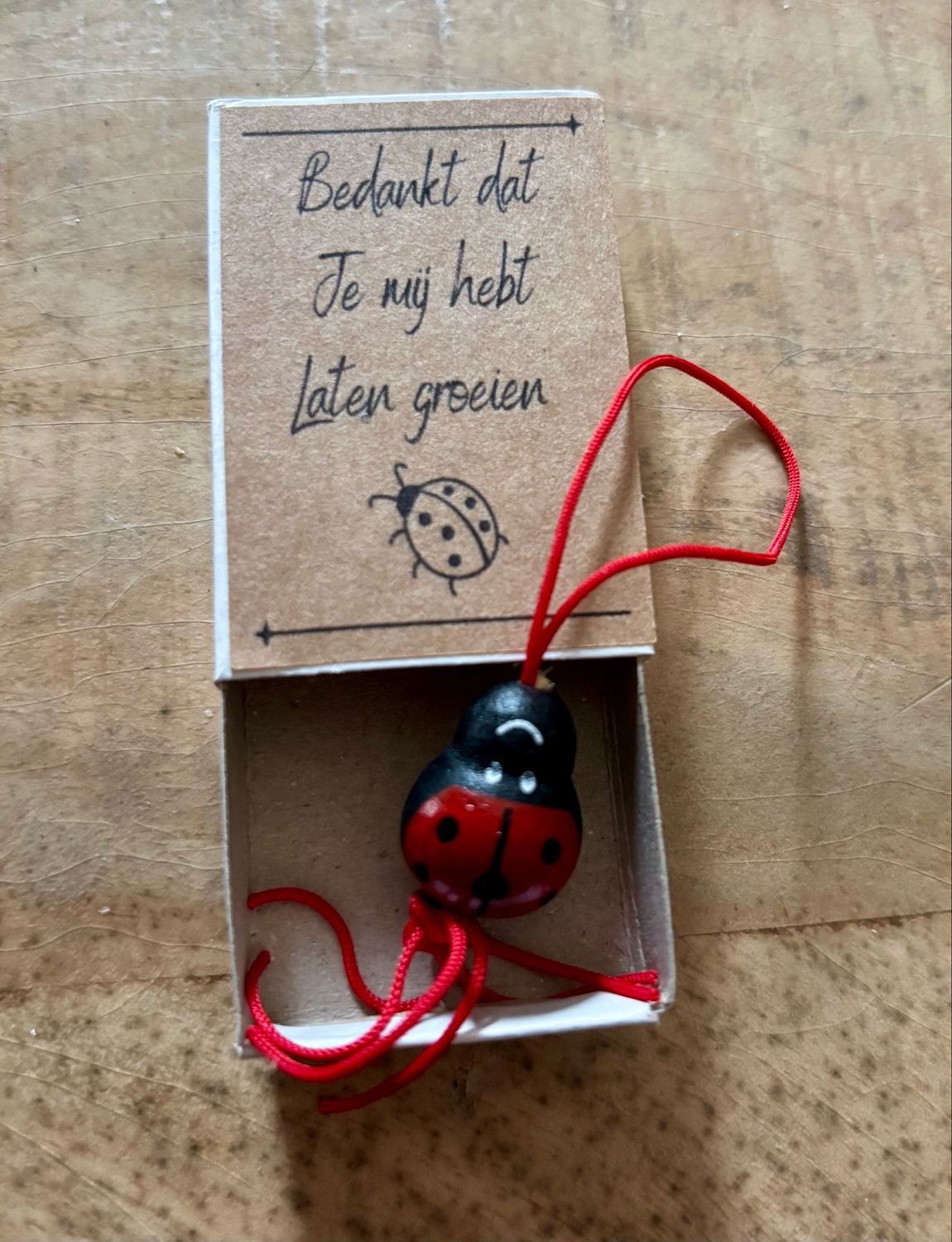 Wensdoosje - Bedankt Dat Je Mij Hebt Laten Groeien