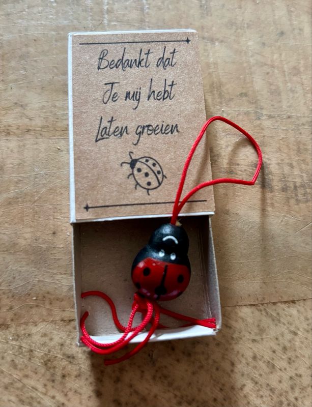 Wensdoosje - Bedankt Dat Je Mij Hebt Laten Groeien