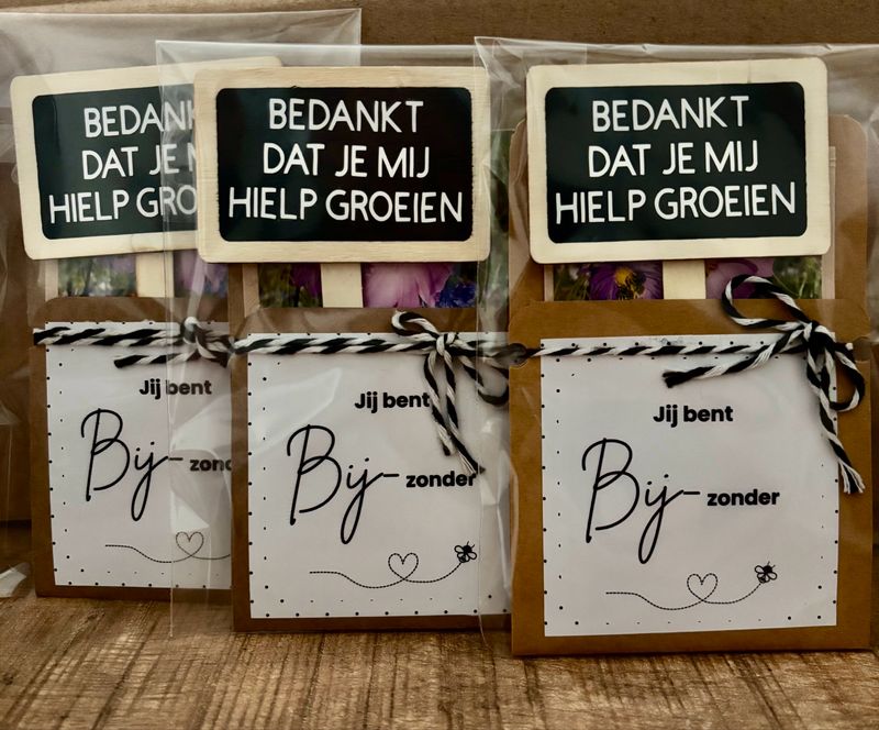 Bloemenzaadjes Geschenk Jij Bent Bijzonder! Plantensteker Bedankt Groeien Bloemenzaadjes Geschenk Jij Bent Bijzonder! Plantensteker Bedankt Groeien