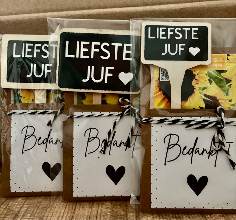 Bloemenzaadjes Geschenk Bedankt! Plantensteker Juf
