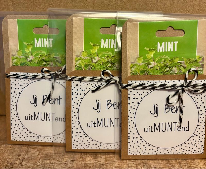 Bloemenzaadjes Geschenk Jij Bent Uitmuntend !