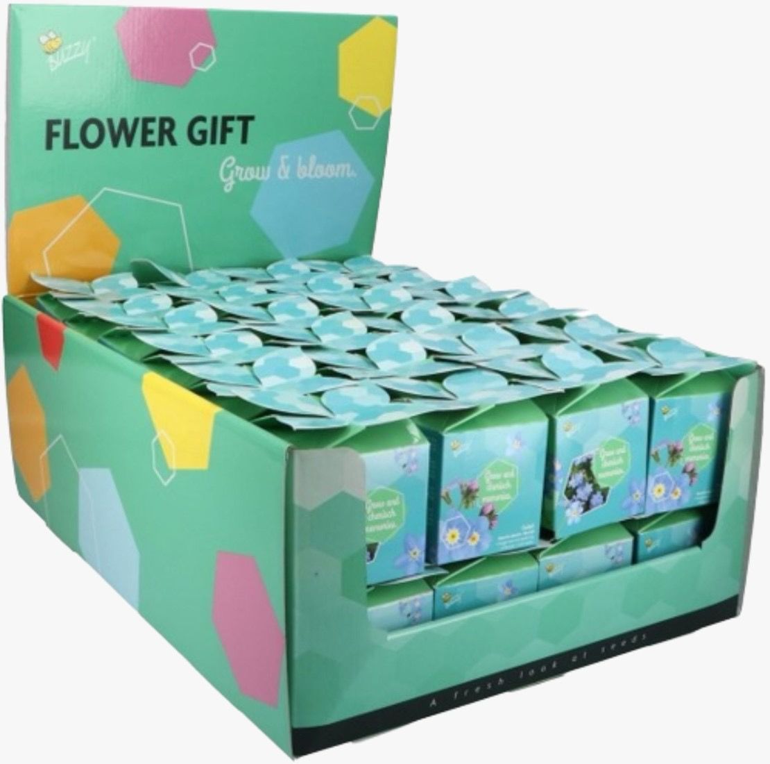 Kweeksetje Cadeau Buzzy Flower Gift Vergeet-me-nietje