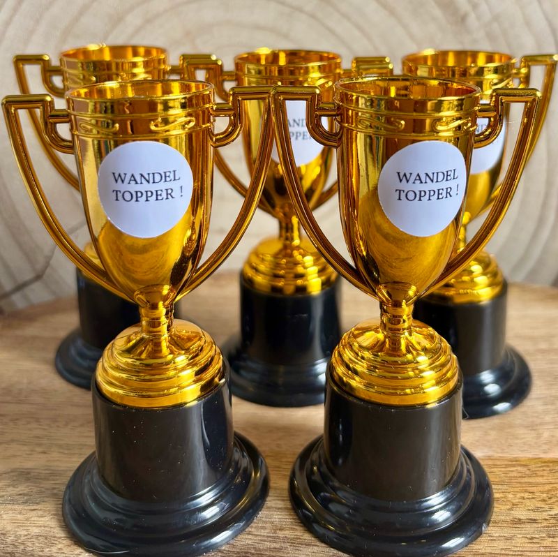Mini Troffee Wandeltopper