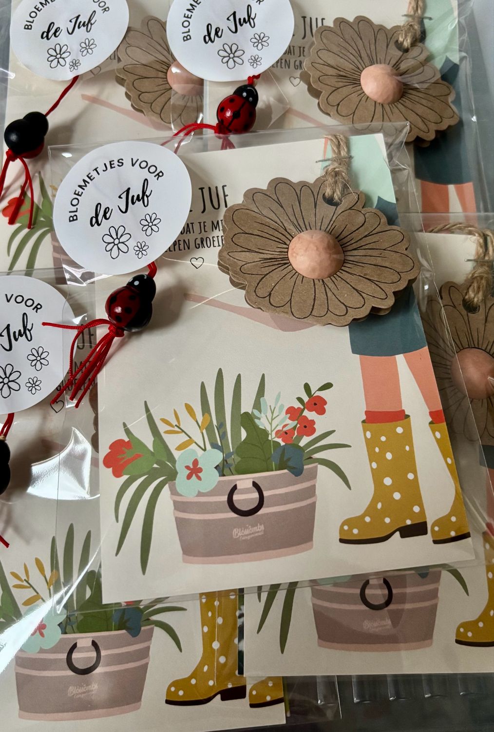 Blossombs KAART "LIEVE JUF" MET BLOEMHANGER EN BLOEMBOMMETJE