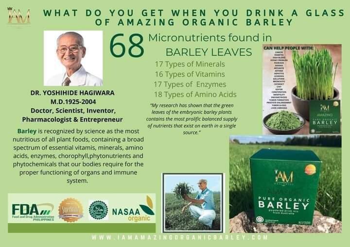 Amazing Pure Organic Barley