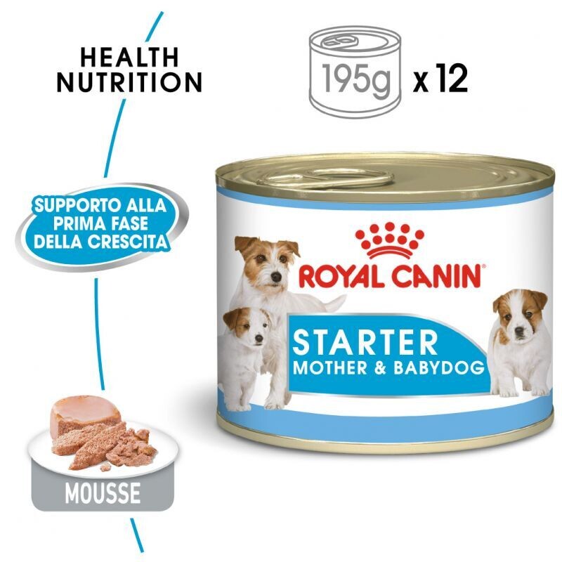 Royal Canin Starter Mousse Mother &amp; Babydog umido per cani