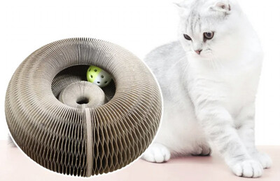 Magico gioco per gatti