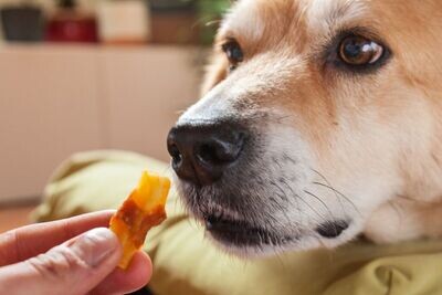 Snack morbidi
