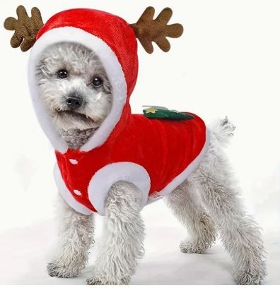 MAGLIA PER CANE E GATTO NATALE CON CAPPUCCIO