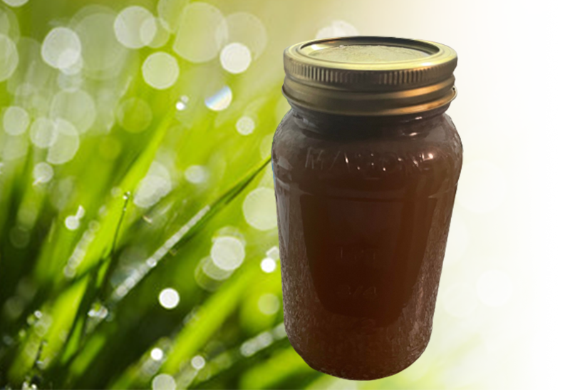 Bird&#39;s Boundless Energy(32oz)