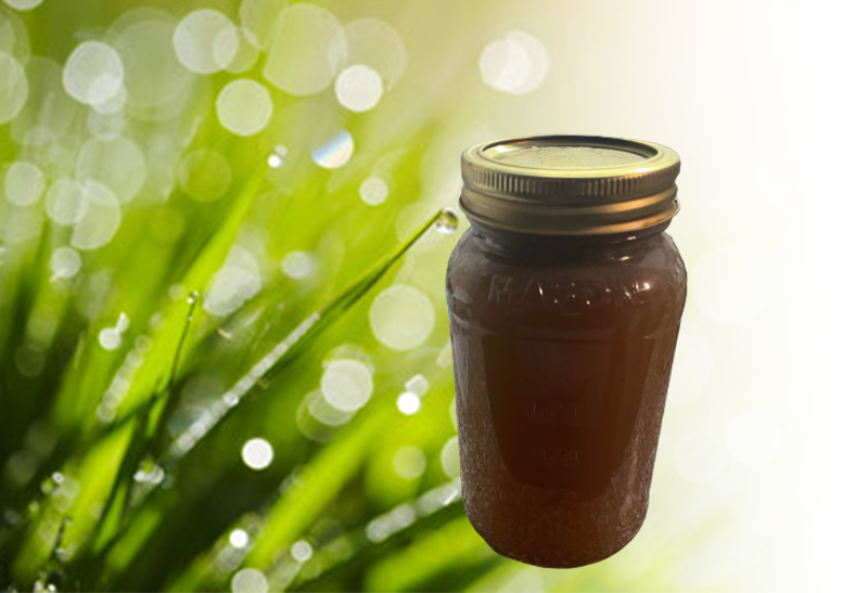 Bird&#39;s Boundless Energy(16oz)