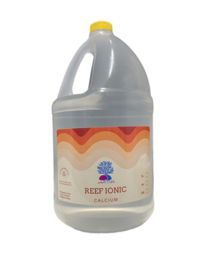 REEF IONIC - CALICUM