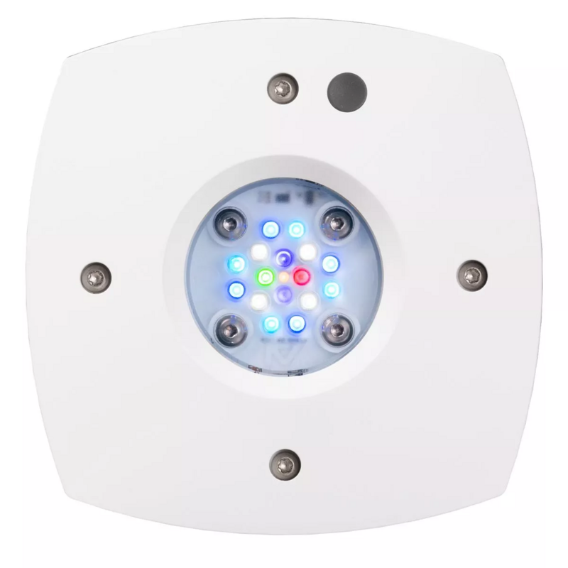 Prime 16 LED Freshwater Light - White Body