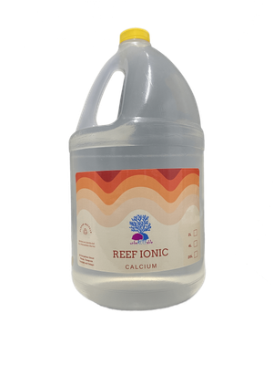 REEF IONIC - CALICUM