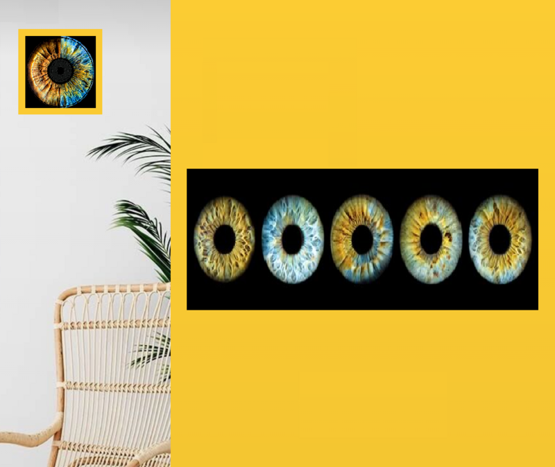 Print - 5 EYES | For Families or Siblings