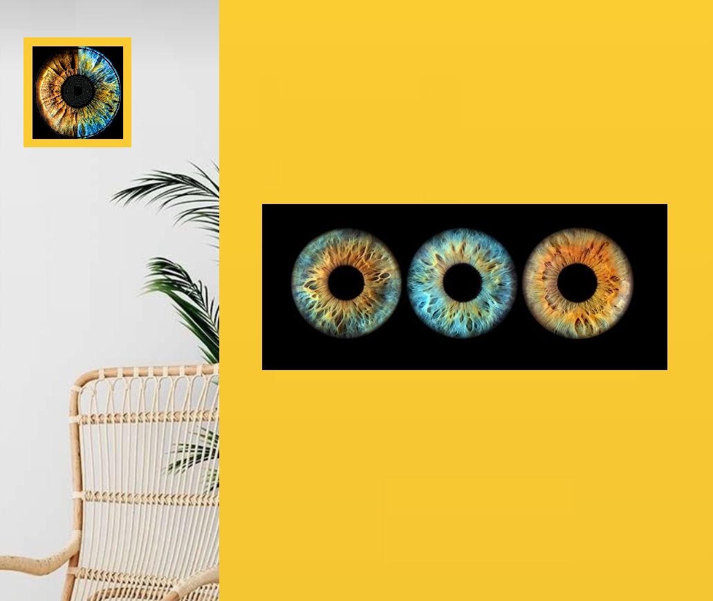 Print - 3 EYE | For Individuals