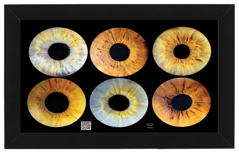 Print - 6 EYES | For Families or Siblings