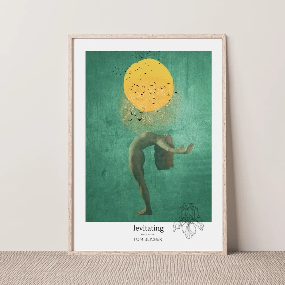 Kunstplakat - Levitating