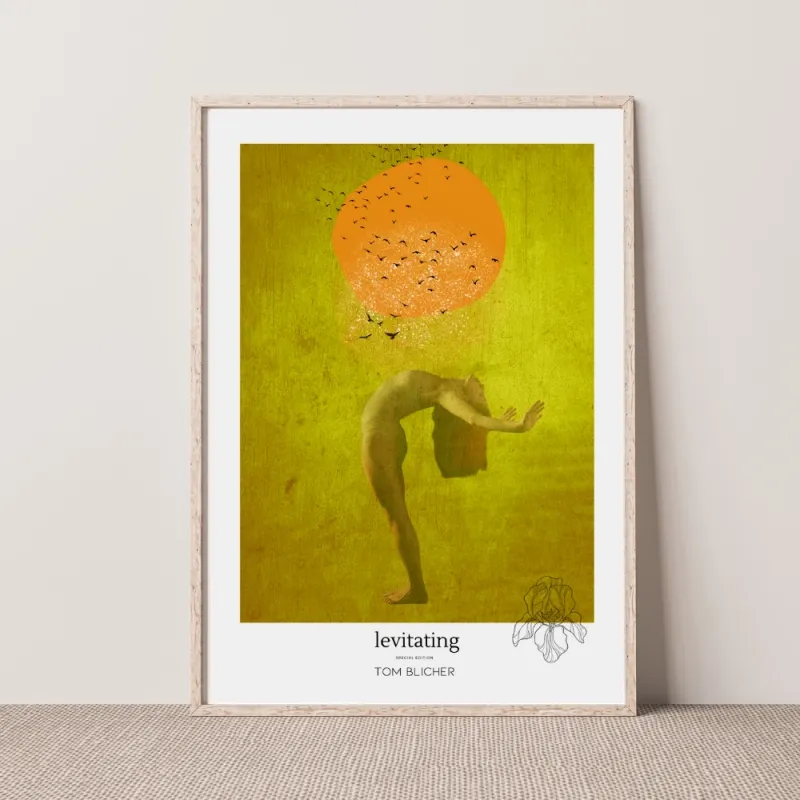 Kunstplakat - Levitating