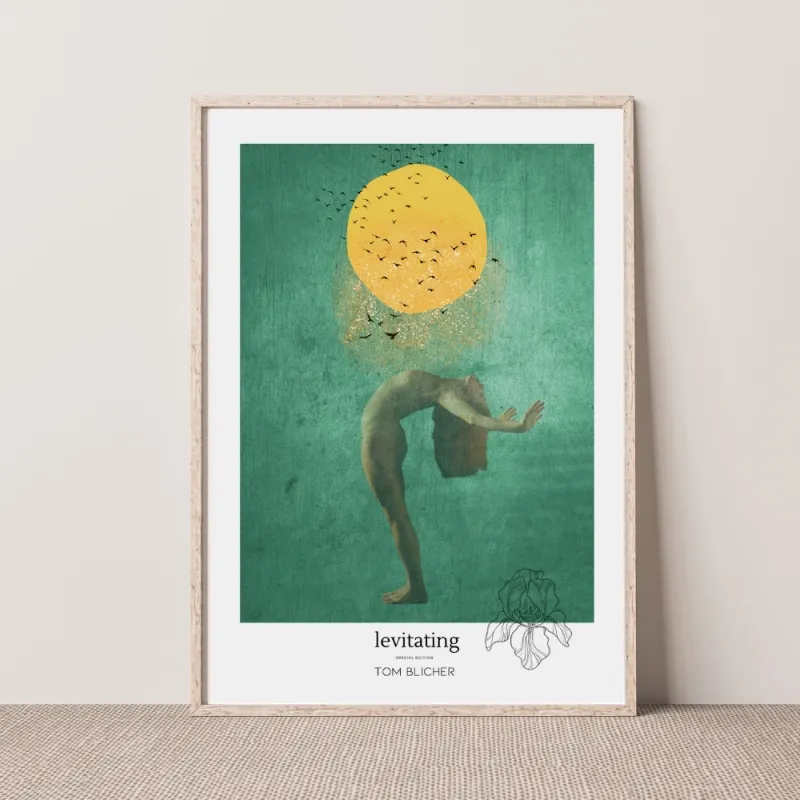 Kunstplakat - Levitating