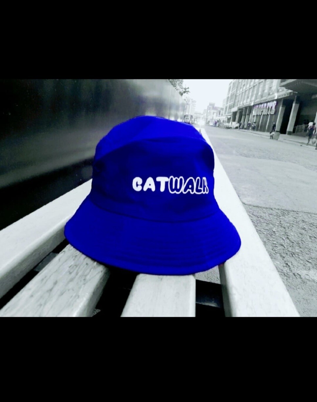 Catwalk Bucket Hats